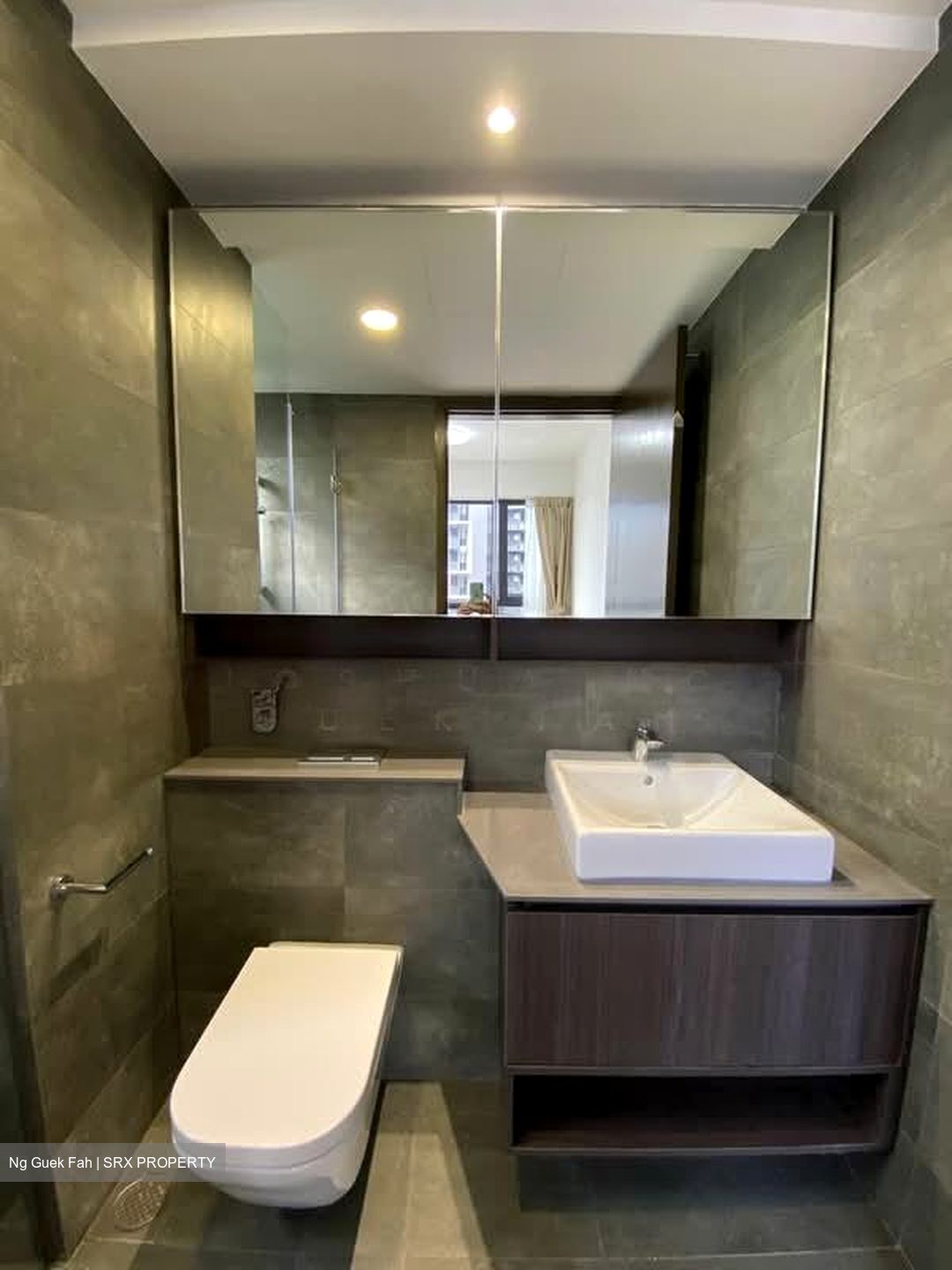 Grandeur Park Residences (D16), Condominium #572221821